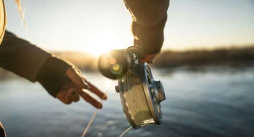 Beginner’s Fishing Guide For Palomino Trout