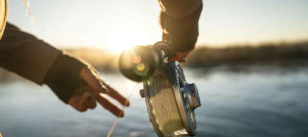 palomino trout fishing