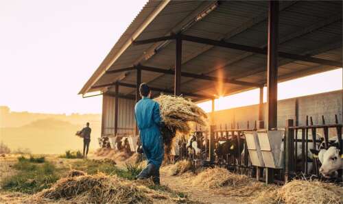 Choosing The Perfect Farmer Wear – A Detailed Guide