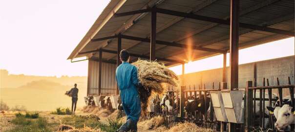 what do farmers wear on the farm