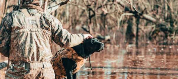 hunter and labrador hunting dog
