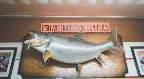 Can You Taxidermy a Fish? Yes And Here Is How