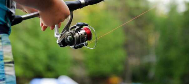 fishing reels for walleye