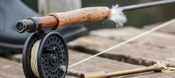 get free fishing stuff