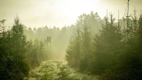 Idaho Hunting Season Schedules For 2025 – 2026(Updated)