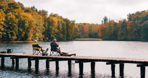 What Is Chatterbait And How to Fish a Chatterbait?