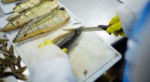 How To Choose The Best Electric Fillet Knife For Fish?