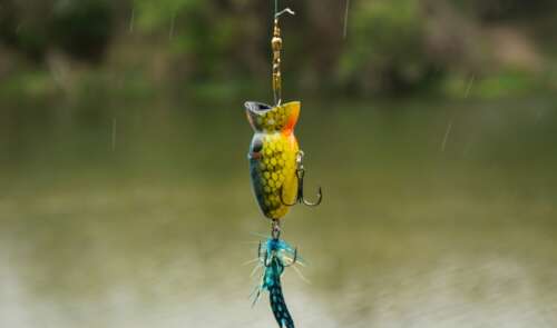 What Is The Best Hook Size For Trout Fishing?