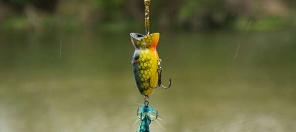 hook size for trout