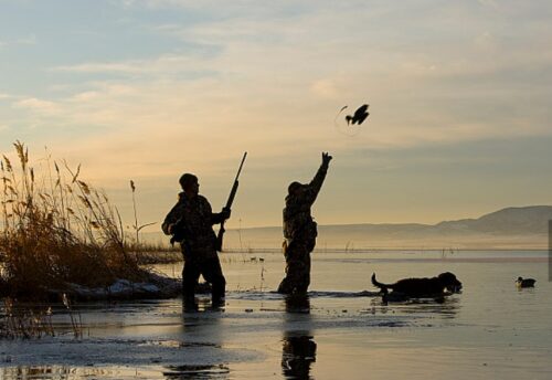 2025 US Hunting Season Schedules For 50 States