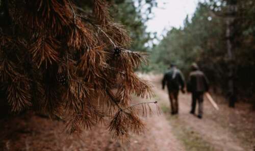 West Virginia Hunting Seasons 2025: Dates, License&Regulations