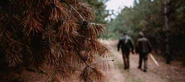 Go Hunting in West Virginia