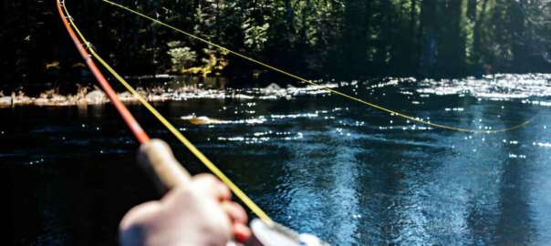 fly fishing in the lake