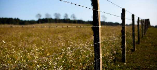hunting in high fence area