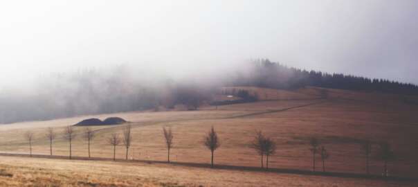 hunting on private land