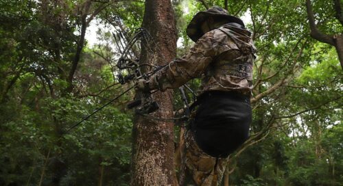 Saddle Hunting 101: Pros, Cons, Setup and Safety Tips