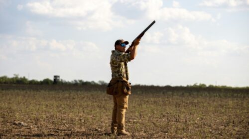 Nevada Hunting Season Dates, License&Regulations Guide