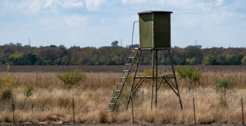 Answered: How High Should Hunting Blinds Windows Be?