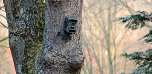 Step-by-Step: Configuring Your Trail Camera Settings
