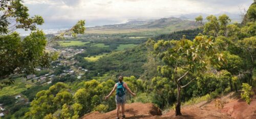 Hawaii Hunting Seasons, Licenses&Rules For 2025 (Updated)