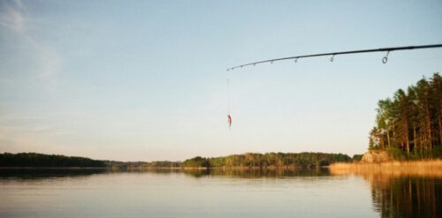 How To Catch Tiger Muskie Complete Guide
