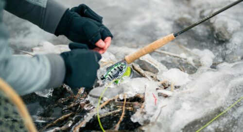 Fishing For Smallmouth Bass In Winter: Guides And Tips