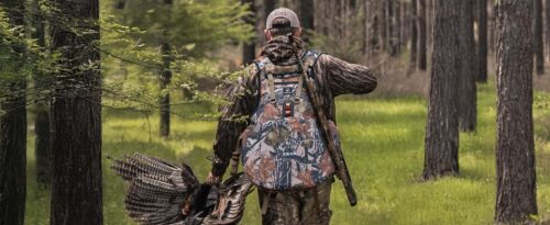 Hunting Turkey From a Blind: Pros, Cons, and Expert Tips