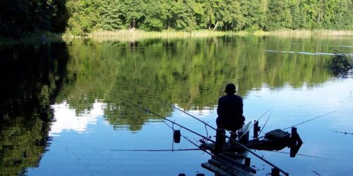 Guide To Montana Fishing Seasons, Regulations, and Licenses