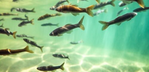 Bluegill Spawn Guide: Timing, Patterns, and Fishing Tips