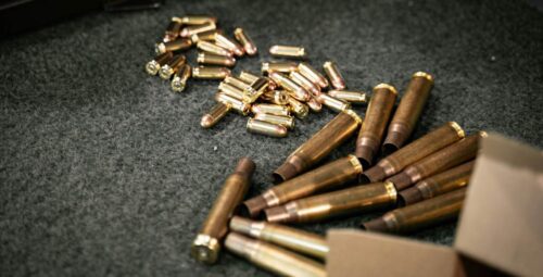 Gear Recommendation: The Best Caliber For Hog Hunting
