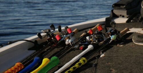 A Guide to Choose Different Types of Fishing Rods