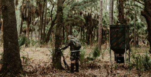 Safety Tips: How To Use a Climbing Tree Stand