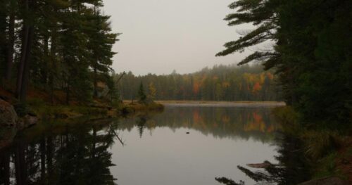 How To Hunt In Canada: Residents&Non-Resident Guide