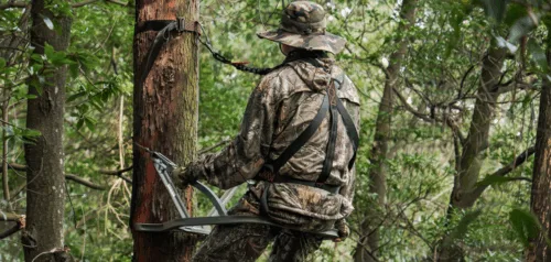 Can You Hunt From Someone’s Tree Stand on Public Land?