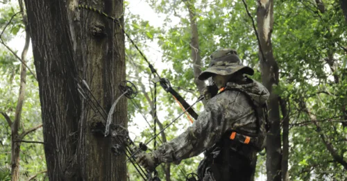 Lineman’s Rope vs Tether Rope: Key Differences and Best Uses