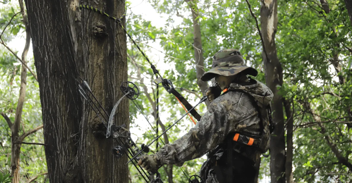 a hunter climbs up the tree with a lineman's rope